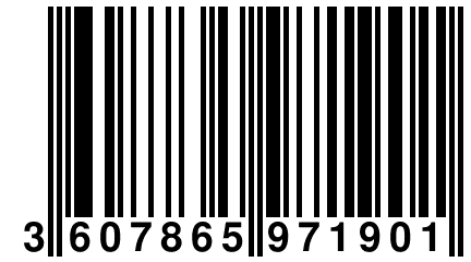 3 607865 971901