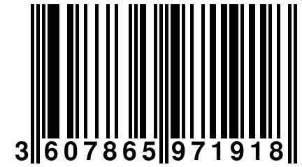 3 607865 971918