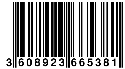 3 608923 665381