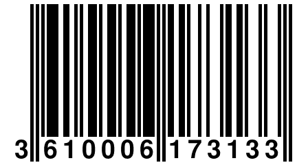 3 610006 173133