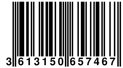 3 613150 657467