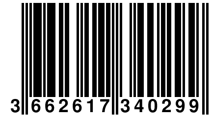 3 662617 340299