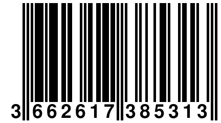 3 662617 385313