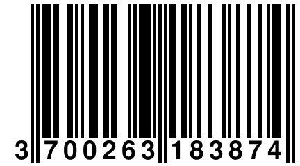 3 700263 183874