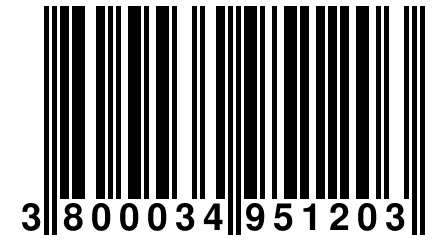 3 800034 951203