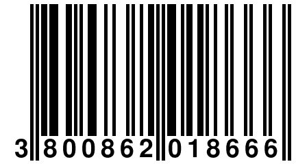 3 800862 018666