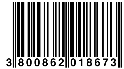 3 800862 018673