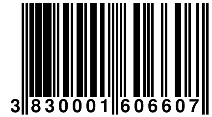 3 830001 606607