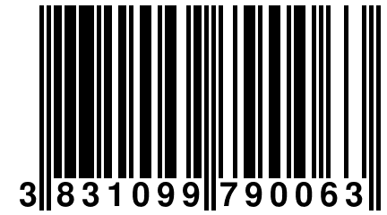 3 831099 790063