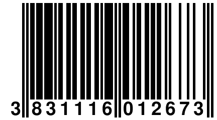 3 831116 012673