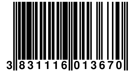 3 831116 013670