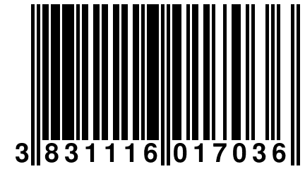 3 831116 017036