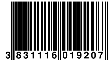 3 831116 019207