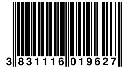 3 831116 019627