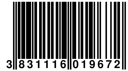 3 831116 019672