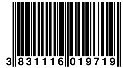 3 831116 019719