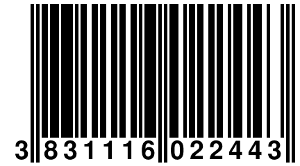 3 831116 022443