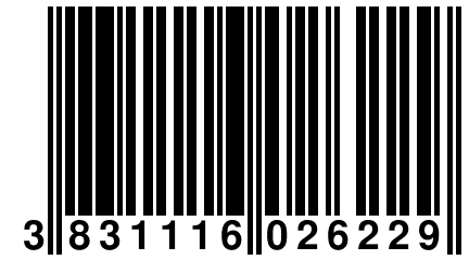 3 831116 026229