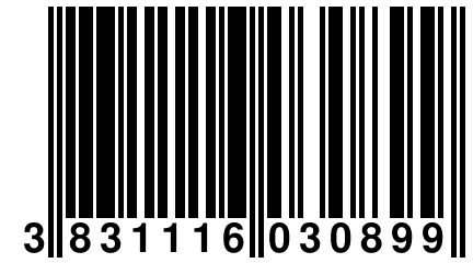 3 831116 030899