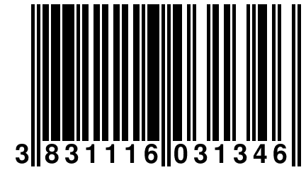 3 831116 031346