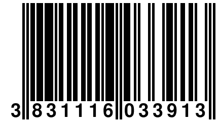 3 831116 033913