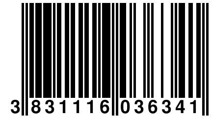 3 831116 036341