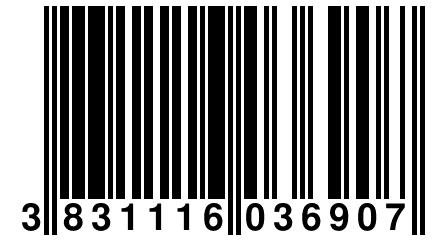 3 831116 036907