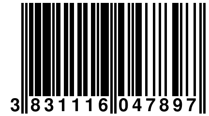 3 831116 047897