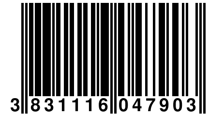 3 831116 047903