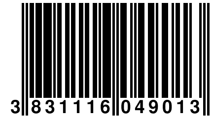 3 831116 049013