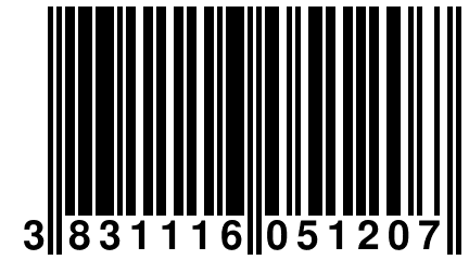 3 831116 051207