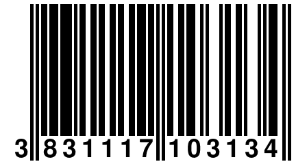 3 831117 103134