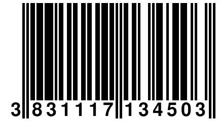 3 831117 134503