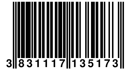 3 831117 135173