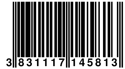 3 831117 145813