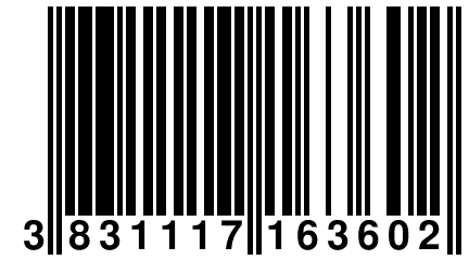 3 831117 163602