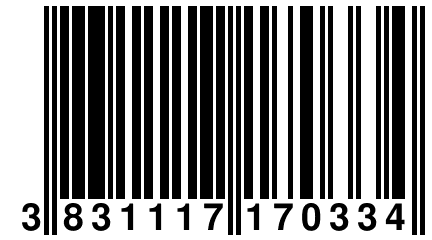 3 831117 170334