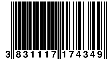 3 831117 174349