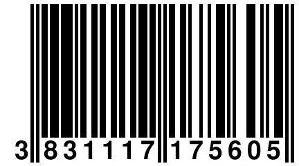 3 831117 175605