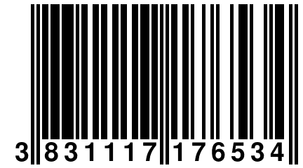 3 831117 176534