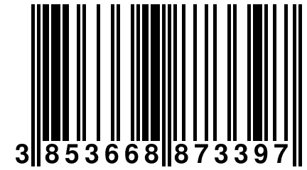 3 853668 873397