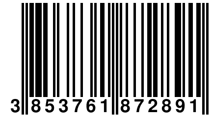 3 853761 872891