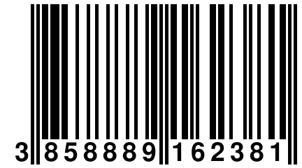 3 858889 162381