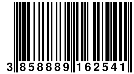 3 858889 162541