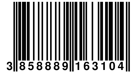 3 858889 163104