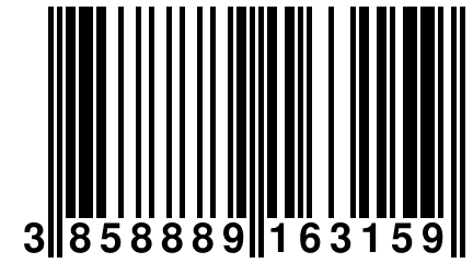 3 858889 163159