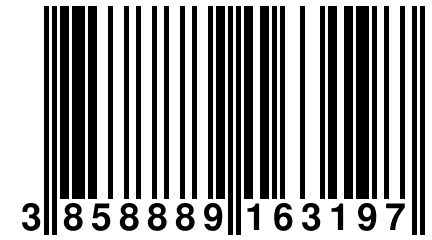 3 858889 163197
