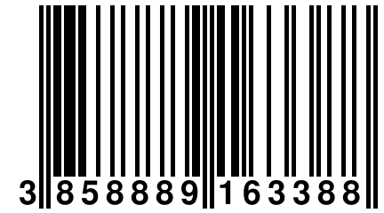3 858889 163388