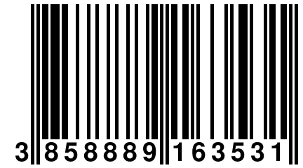 3 858889 163531