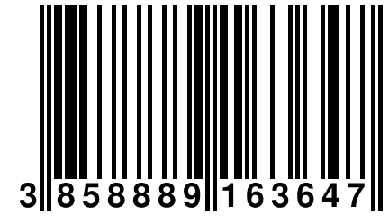 3 858889 163647